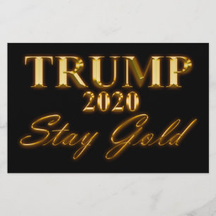 Prospectus 14 Cm X 21,6 Cm TRUMP 2020 - Stay Gold