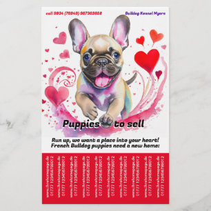Prospectus 14 Cm X 21,6 Cm Vendre chiot Bouledogue Français