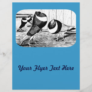 Prospectus 21,6 Cm X 24,94 Cm Aachen Band Cropper Pigeons