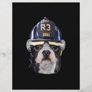 Prospectus 21,6 Cm X 24,94 Cm Adorable Bouledogue Français avec un casque de pom