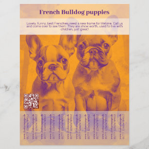 Prospectus 21,6 Cm X 24,94 Cm Affiche chiot Bouledogue Français