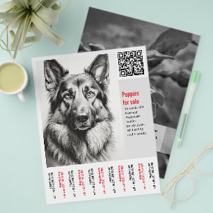 Prospectus 21,6 Cm X 24,94 Cm Affiche de Chien de Berger Allemand