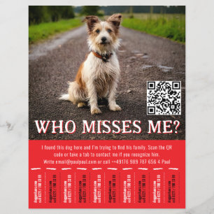 Prospectus 21,6 Cm X 24,94 Cm Affiche de chien trouvé modifiable avec QR Code et