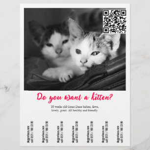 Prospectus 21,6 Cm X 24,94 Cm Affiche de vente de chaton