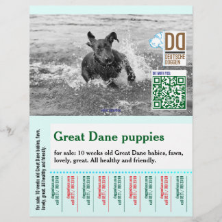 Prospectus 21,6 Cm X 24,94 Cm Affiche déchirée colorée de chien volant