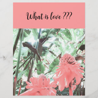 Prospectus 21,6 Cm X 24,94 Cm Amour Mariage de pêche tropicale