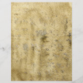 Prospectus 21,6 Cm X 24,94 Cm Ancien parchemin (Devant)