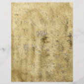 Prospectus 21,6 Cm X 24,94 Cm Ancien parchemin (Dos)