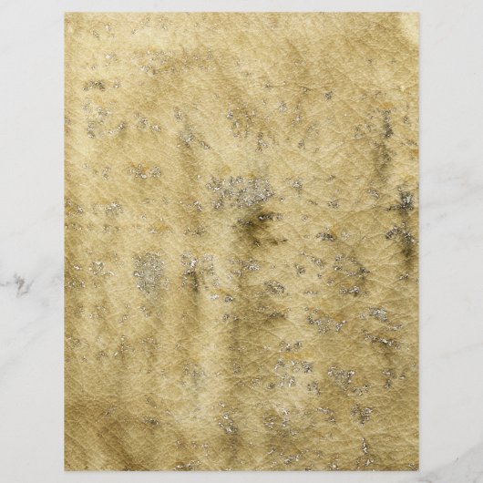 Prospectus 21,6 Cm X 24,94 Cm Ancien parchemin (Dos)