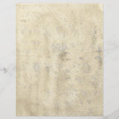 Prospectus 21,6 Cm X 24,94 Cm Ancien parchemin (Dos)