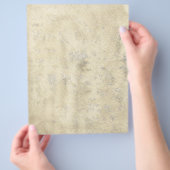 Prospectus 21,6 Cm X 24,94 Cm Ancien parchemin (main)