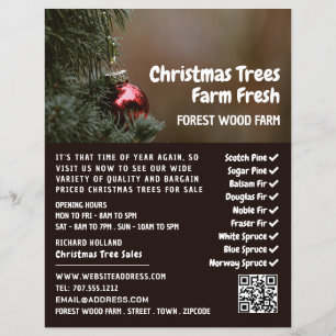 Prospectus 21,6 Cm X 24,94 Cm Arbre de Noël Bauble, Vente d'Arbre de Noël