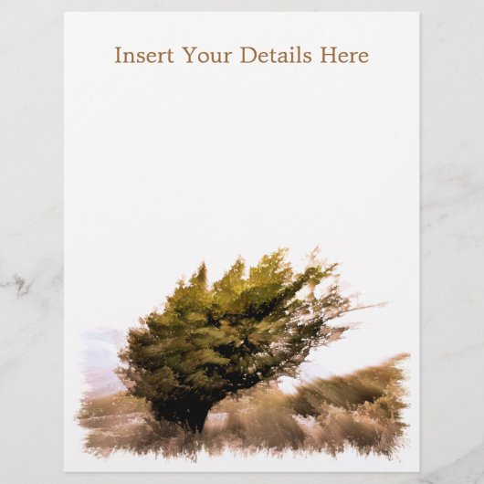 PROSPECTUS 21,6 CM X 24,94 CM ARBRES (Devant)