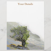 PROSPECTUS 21,6 CM X 24,94 CM ARBRES (Devant)