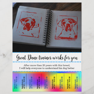 Prospectus 21,6 Cm X 24,94 Cm Arrachez un dépliant coloré