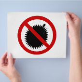 Prospectus 21,6 Cm X 24,94 Cm AUCUN Fruit Tropical Durian ⚠ signe thaï ⚠ (main)