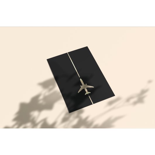 Prospectus 21,6 Cm X 24,94 Cm Aviation minimale