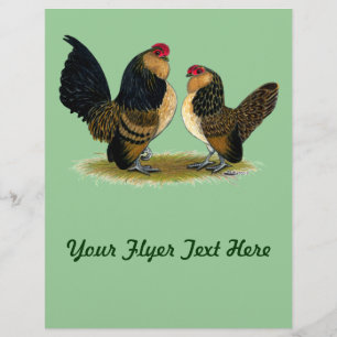 Prospectus 21,6 Cm X 24,94 Cm Belge d'Anvers Bantams : Quail