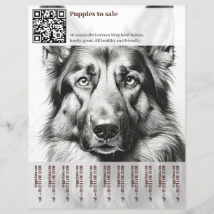 Prospectus 21,6 Cm X 24,94 Cm Berger Allemand Flyer