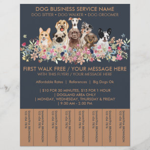 Prospectus 21,6 Cm X 24,94 Cm Billets de budget de promeneur de chien de races m