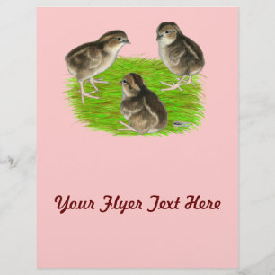 Prospectus 21,6 Cm X 24,94 Cm Bobwhite Quail