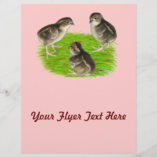 Prospectus 21,6 Cm X 24,94 Cm Bobwhite Quail (Devant)