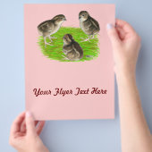 Prospectus 21,6 Cm X 24,94 Cm Bobwhite Quail (main)