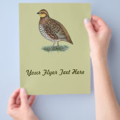 Prospectus 21,6 Cm X 24,94 Cm Bobwhite Quail Hen (main)