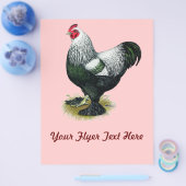 Prospectus 21,6 Cm X 24,94 Cm Brahma : Coq foncé (Simple)