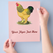 Prospectus 21,6 Cm X 24,94 Cm Brahma : Rooster Buff (main)