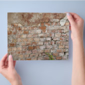 Prospectus 21,6 Cm X 24,94 Cm Brick wall (main)