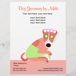 Prospectus 21,6 Cm X 24,94 Cm Brochure promotionnelle du Groomer pour animaux