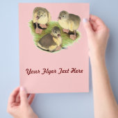 Prospectus 21,6 Cm X 24,94 Cm Buff Pomeranian Goslings (main)