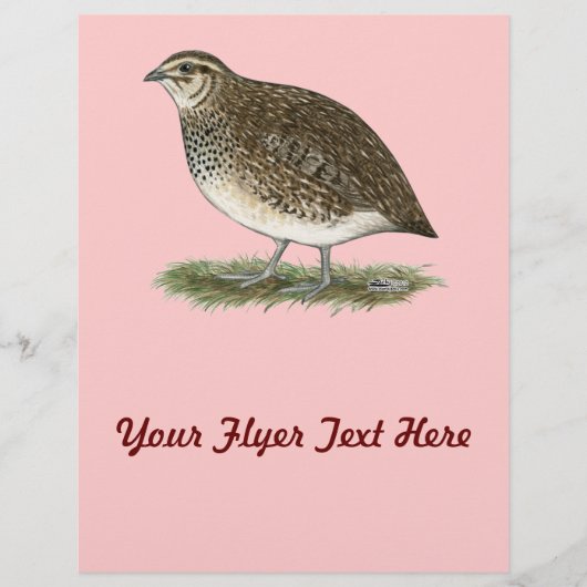 Prospectus 21,6 Cm X 24,94 Cm Caille Coturnix pondeuse (Devant)