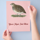 Prospectus 21,6 Cm X 24,94 Cm Caille Coturnix pondeuse (main)