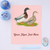 Prospectus 21,6 Cm X 24,94 Cm Canards de Saxe (Simple)