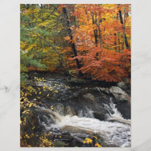Prospectus 21,6 Cm X 24,94 Cm Cascade d'automne