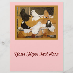 Prospectus 21,6 Cm X 24,94 Cm Champions Trumpeter Pigeon