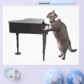 Prospectus 21,6 Cm X 24,94 Cm Chat Jouer Piano (Simple)