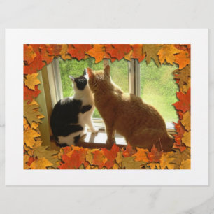 Prospectus 21,6 Cm X 24,94 Cm Chats d'automne