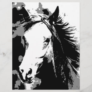Prospectus 21,6 Cm X 24,94 Cm Cheval