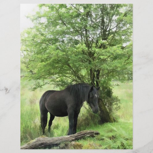 PROSPECTUS 21,6 CM X 24,94 CM CHEVAUX (Devant)