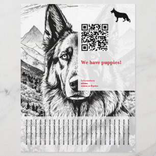 Prospectus 21,6 Cm X 24,94 Cm Chien berger Affiche