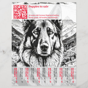 Prospectus 21,6 Cm X 24,94 Cm Chien Berger Allemand Flyer