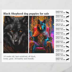 Prospectus 21,6 Cm X 24,94 Cm chien berger noir 