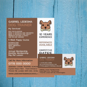 Prospectus 21,6 Cm X 24,94 Cm Chien Brown, Entraîneur de Chien Publicité