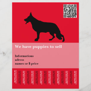 Prospectus 21,6 Cm X 24,94 Cm Chien de berger minimal personnalisé