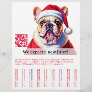 Prospectus 21,6 Cm X 24,94 Cm Chien et chat