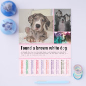 Prospectus 21,6 Cm X 24,94 Cm Chien trouvé (Simple)
