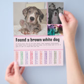 Prospectus 21,6 Cm X 24,94 Cm Chien trouvé (main)